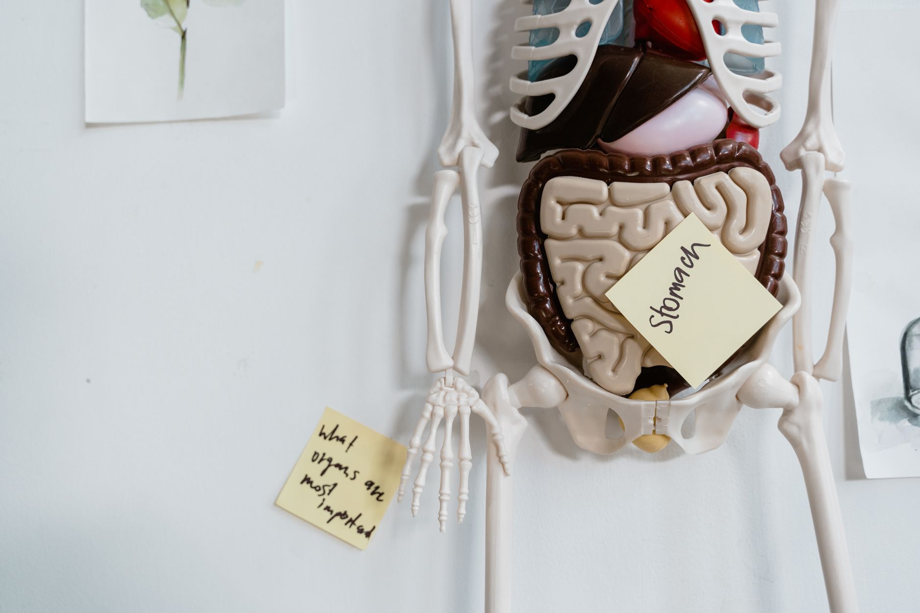 Digest Post: 10 interesting recent studies