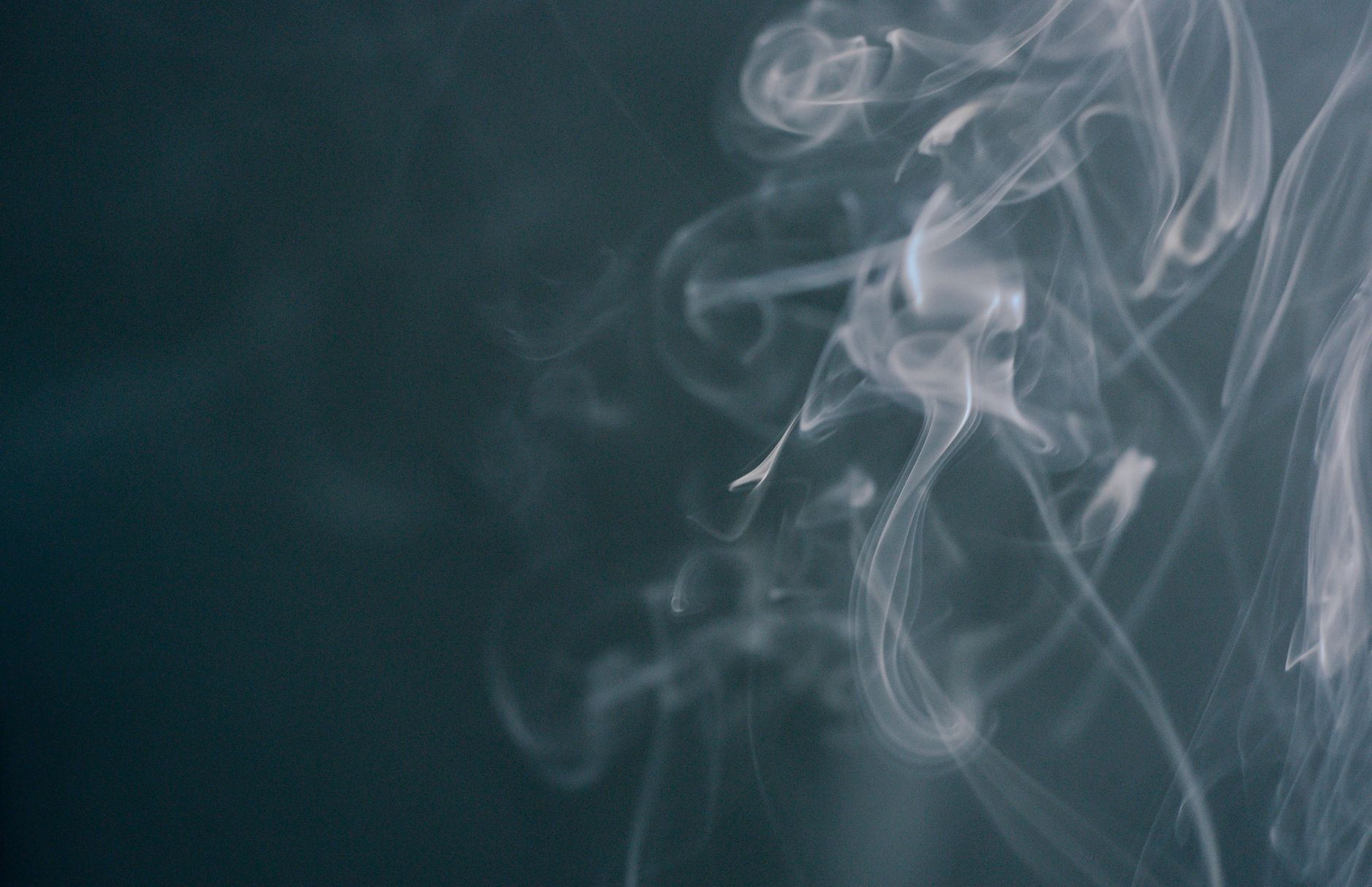Free event Seeing Through the Smoke