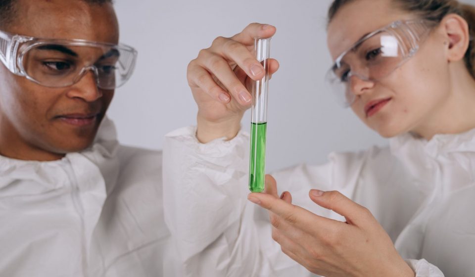 BLE Approves First 4 Cannabis Research Projects in Germany