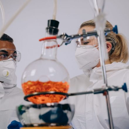 Germany Regulators Approved Four Cannabis Research Projects