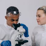Anandamide — Your Brain's Own THC and Why Cannabis Works | Terpchild