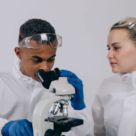 Anandamide — Your Brain's Own THC and Why Cannabis Works | Terpchild