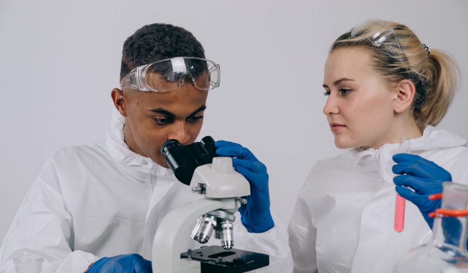 Anandamide — Your Brain's Own THC and Why Cannabis Works | Terpchild