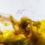 Endocannabinoid-gut interplay highly complex, researchers note