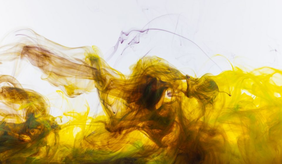 Endocannabinoid-gut interplay highly complex, researchers note