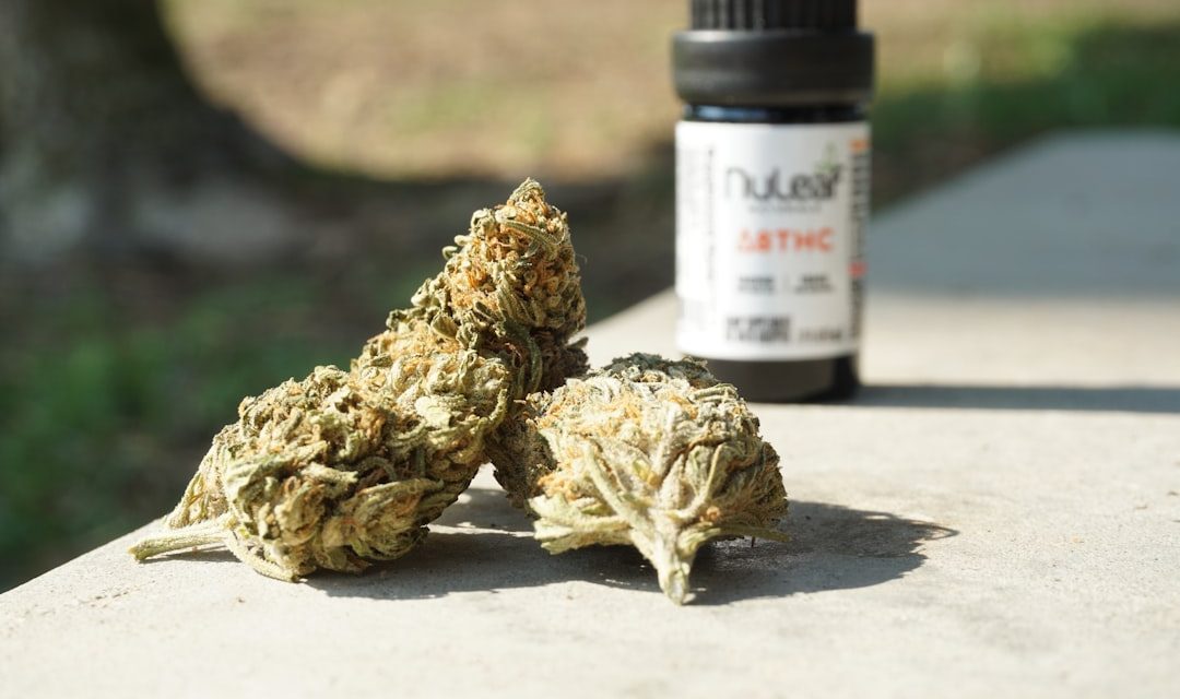 The Entourage Effect: Why THC Percentage Isn't Everything