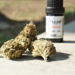 The Entourage Effect: Why THC Percentage Isn't Everything