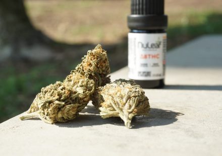 The Entourage Effect: Why THC Percentage Isn't Everything