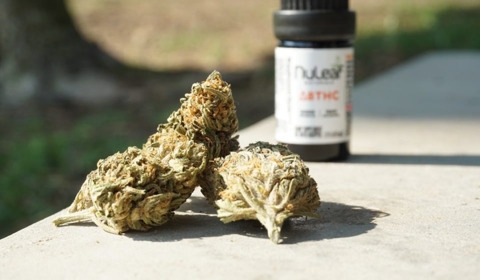 The Entourage Effect: Why THC Percentage Isn't Everything