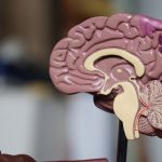 THC-CBD Combination Reduces Agitation in Advanced Dementia