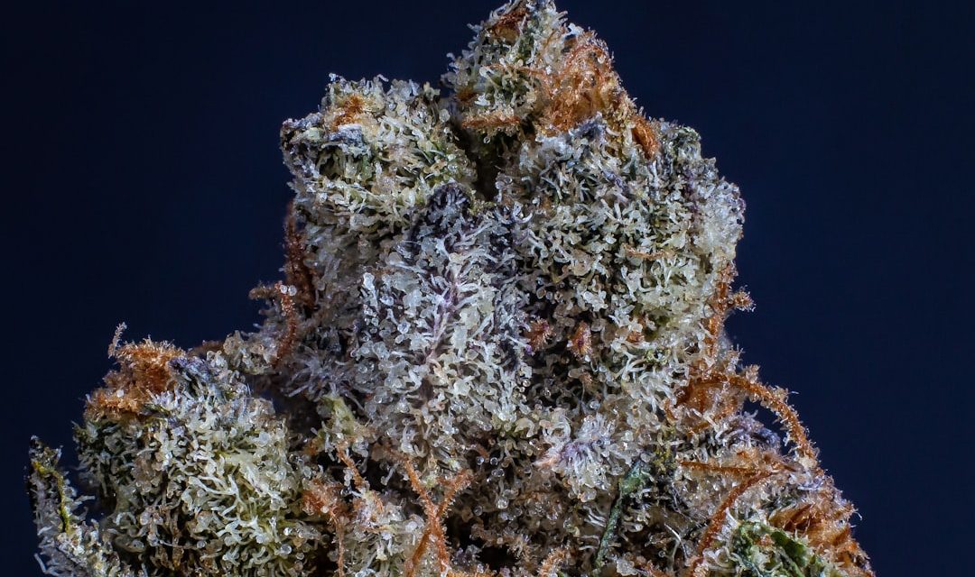 How Cannabis Works: THC, CBD, Terpenes & the Entourage Effect (2026)