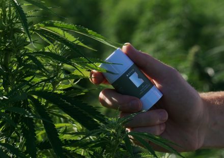 Measuring What Matters: Why Outcomes Will Decide the Future of Cannabis Medicine