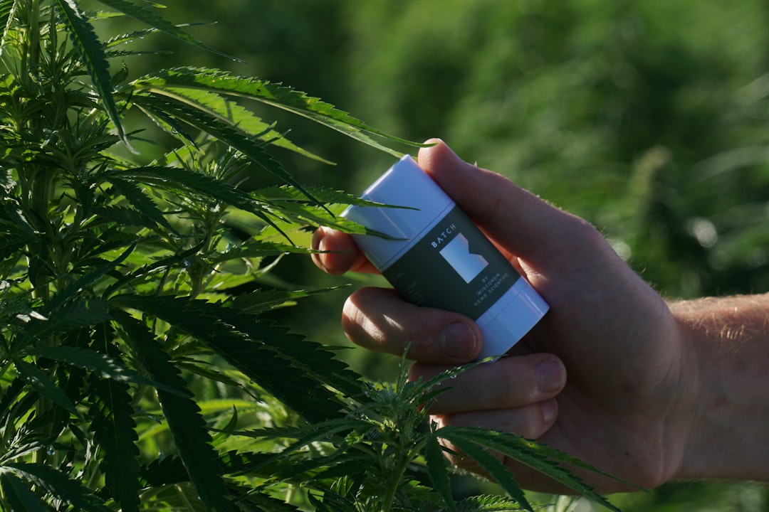 CED Clinic: Personalized Cannabis Medicine 335 Measuring What Matters: Why Outcomes Will Decide the Future of Cannabis Medicine