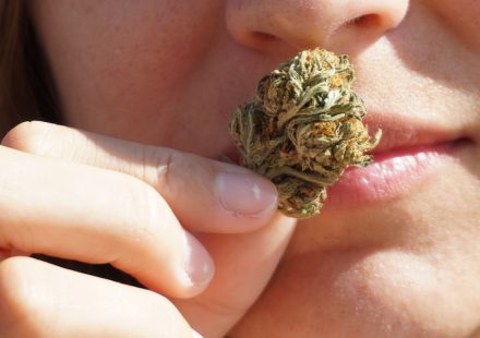 Inhaling high THC cannabis acutely increases inflammation but not insulin sensitivity