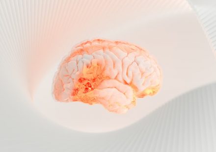 What Happens to the Brain When Cannabis Is Used Daily