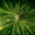 ced unsplash AJ3 DScZYsY