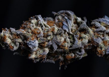 THC/CBD Reduces Agitation in Late-Stage Dementia | Cannabis Sciences
