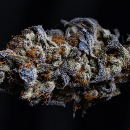 THC/CBD Reduces Agitation in Late-Stage Dementia | Cannabis Sciences