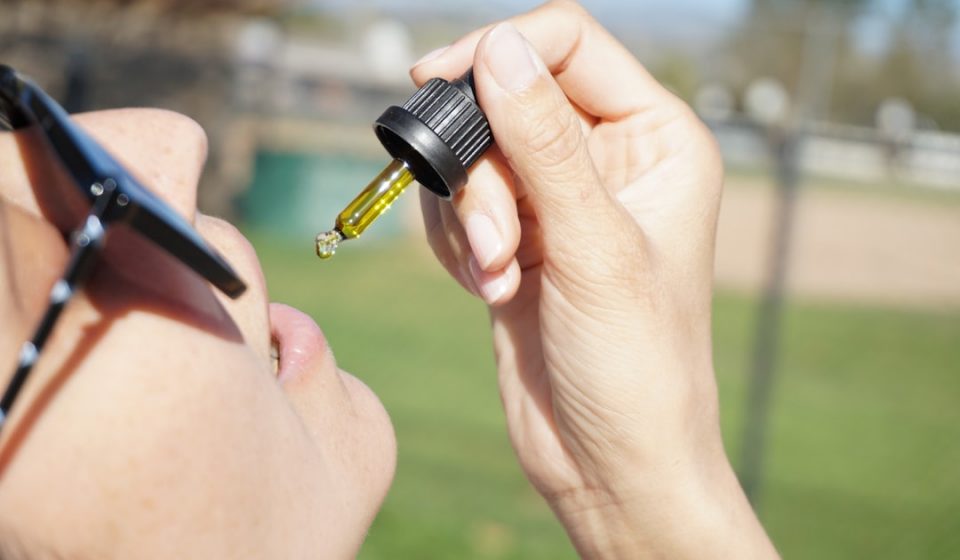 Cannabis Terpenes Enhance THC's Activation of Cannabinoid Receptors, Study Finds