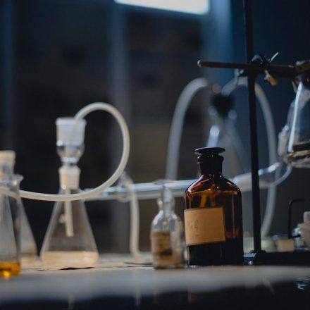 Pinnacle Strain: Effects, Terpenes, and Everything You Need to Know - Herb.co