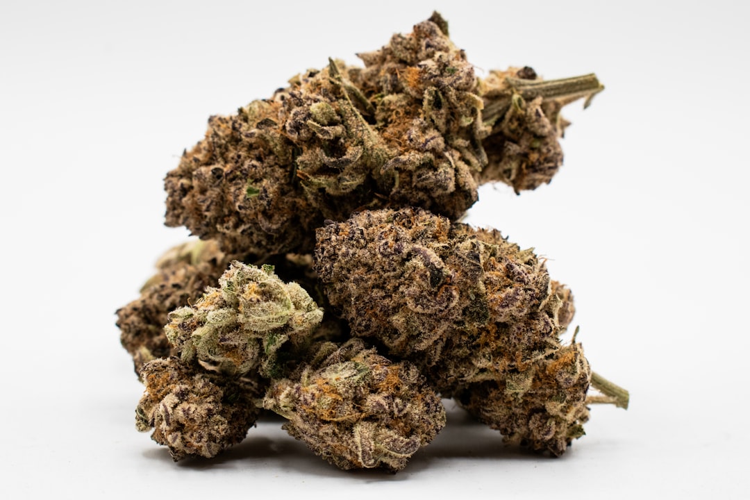 CED Clinic: Personalized Cannabis Medicine 348 Some cannabis types are safer than others. What experts recommend.