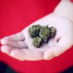 Study Published in Pediatrics Finds Infrequent Cannabis Use Can Impact Adolescent ...