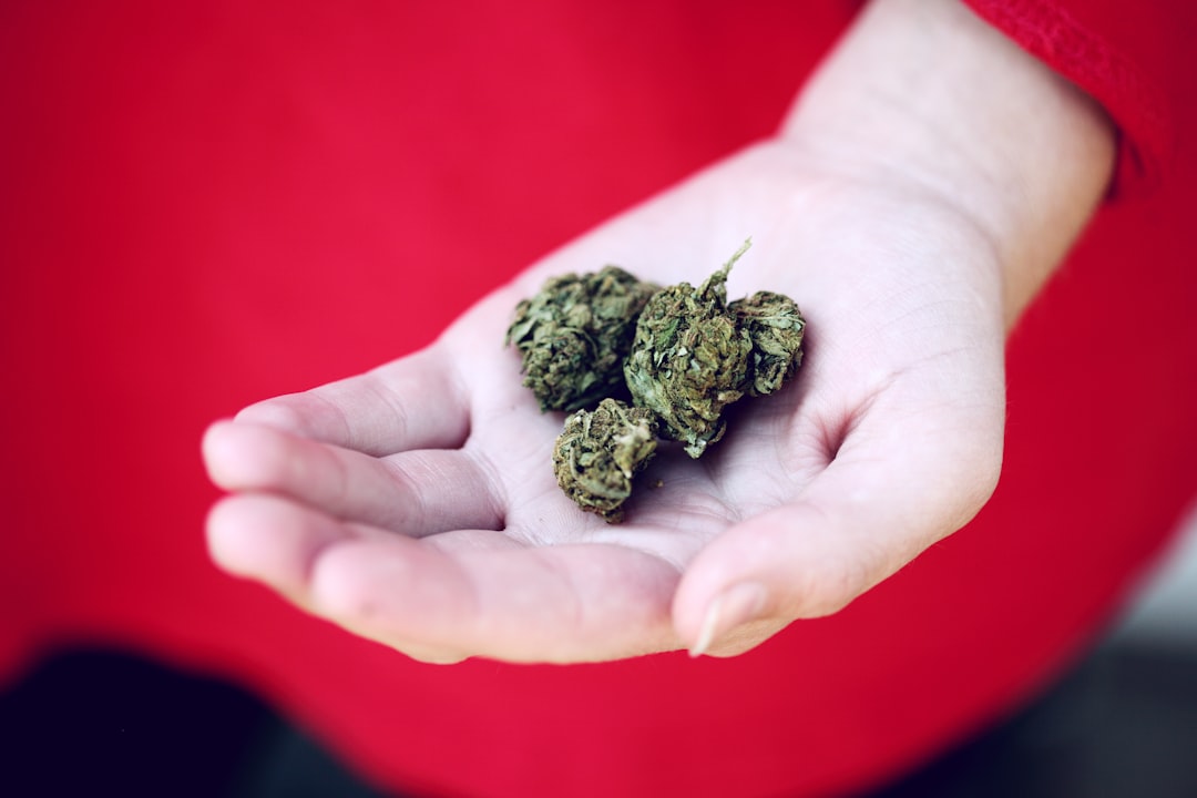 Study Published in Pediatrics Finds Infrequent Cannabis Use Can Impact Adolescent …