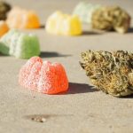 Terpenes vs THC: What's the Difference?