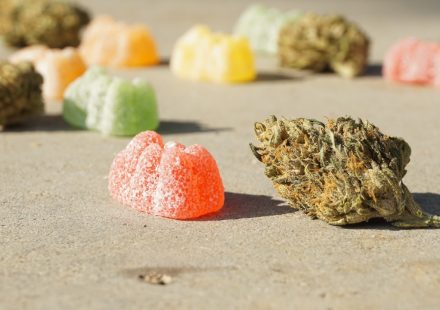 Terpenes vs THC: What's the Difference?