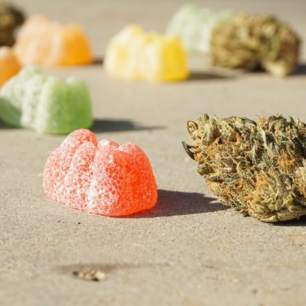 Terpenes vs THC: What's the Difference?