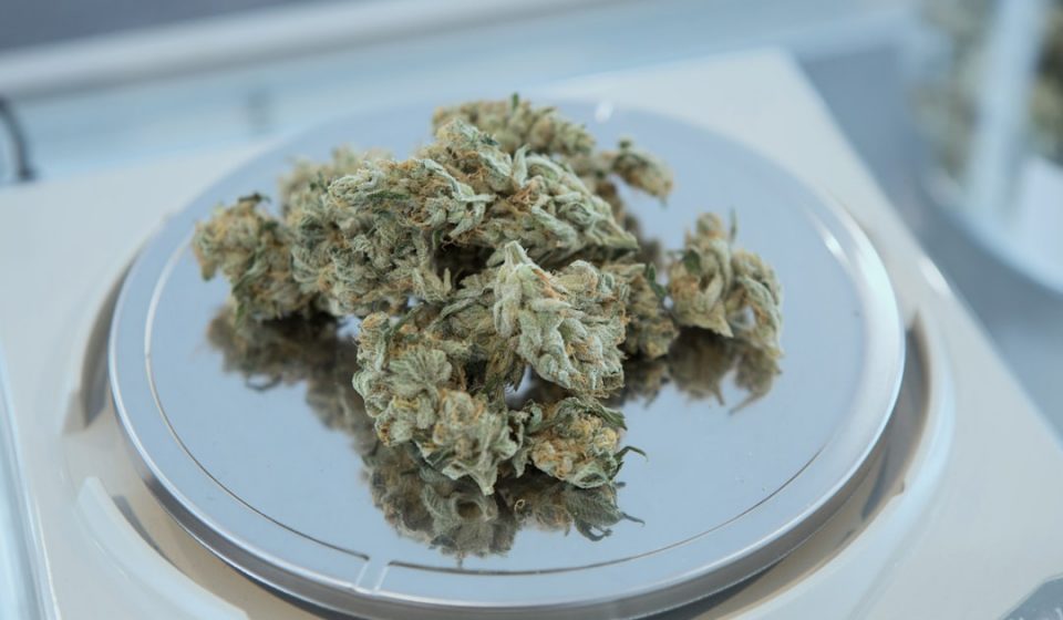 DEA's Own Pharmacologist Undercuts Marijuana Rescheduling Order