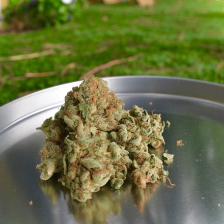 Florida Medical Marijuana Sales Top 12.1 Billion mg of THC and 4.1 Million Ounces in 2026