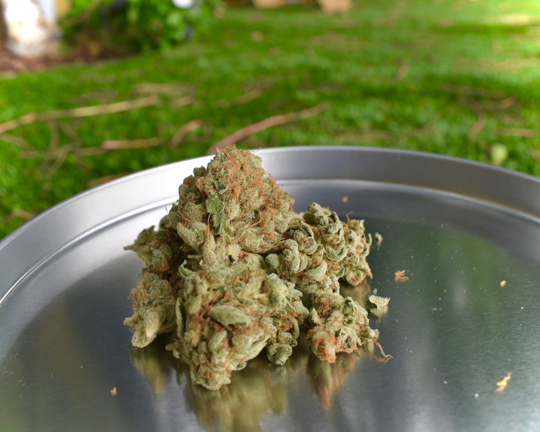 CED Clinic: Personalized Cannabis Medicine 338 Florida Medical Marijuana Sales Top 12.1 Billion mg of THC and 4.1 Million Ounces in 2026