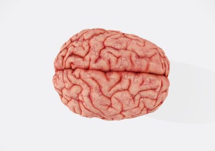 What Happens in the Brain When Cannabis Is Used Every Day
