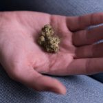 More teens with cannabis use disorder are facing treatment delays, study finds