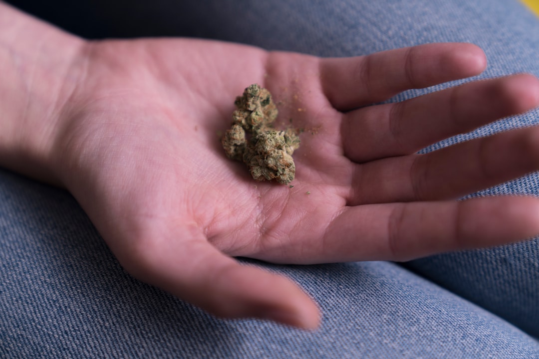 CED Clinic: Personalized Cannabis Medicine 339 More teens with cannabis use disorder are facing treatment delays, study finds
