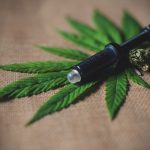 Healthcare Professionals Agree Cannabis Has "Legitimate Therapeutic Uses"