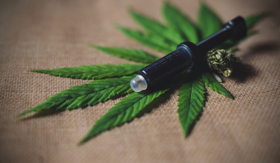 Healthcare Professionals Agree Cannabis Has "Legitimate Therapeutic Uses"