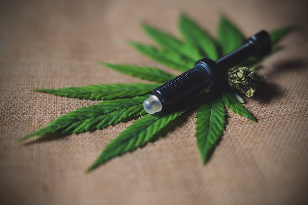 Healthcare Professionals Agree Cannabis Has "Legitimate Therapeutic Uses"