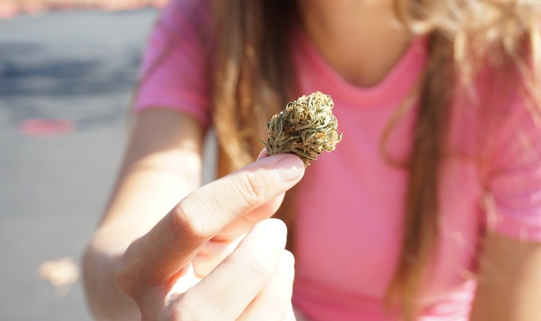 Adolescents with cannabis use disorder have higher risks for later development of ...