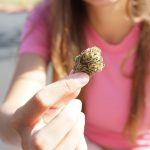 Adolescents with cannabis use disorder have higher risks for later development of ...