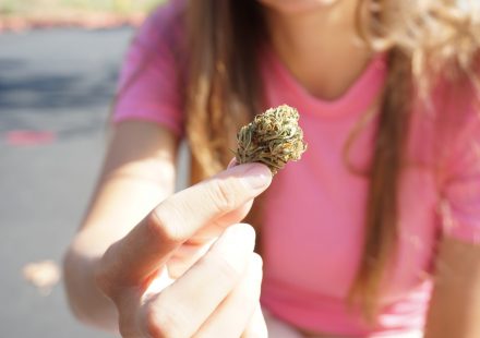 Adolescents with cannabis use disorder have higher risks for later development of ...