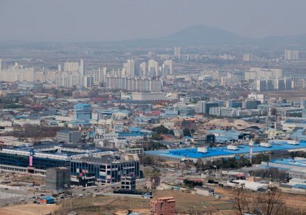 Medical Cannabis Production Measure Introduced In South Korea