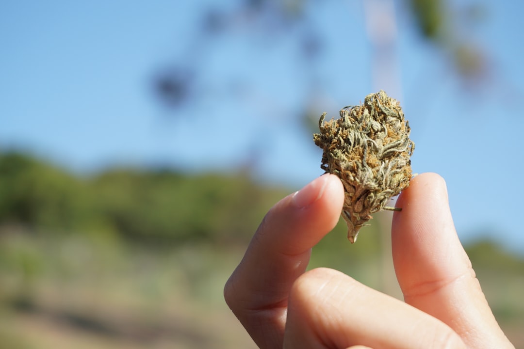 CED Clinic: Personalized Cannabis Medicine 338 Agitation in Dementia Can Be Helped by Medical Cannabis, Study Suggests