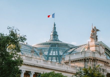 France Submits the Long-Awaited Decree on the Reimbursement of Medical Cannabis to ...