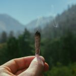 Cannabis vs. Smoking: Health Comparison & What Studies Reveal