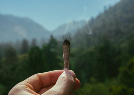 Cannabis vs. Smoking: Health Comparison & What Studies Reveal