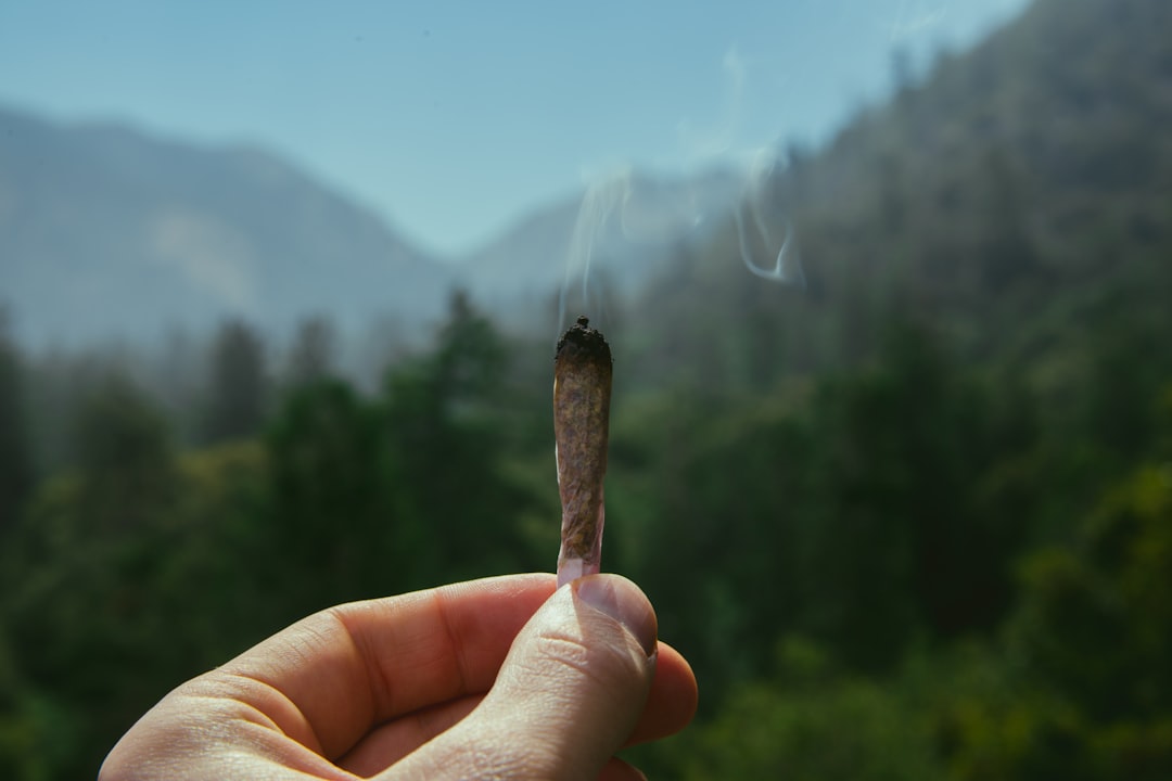 CED Clinic: Personalized Cannabis Medicine 346 Cannabis vs. Smoking: Health Comparison & What Studies Reveal