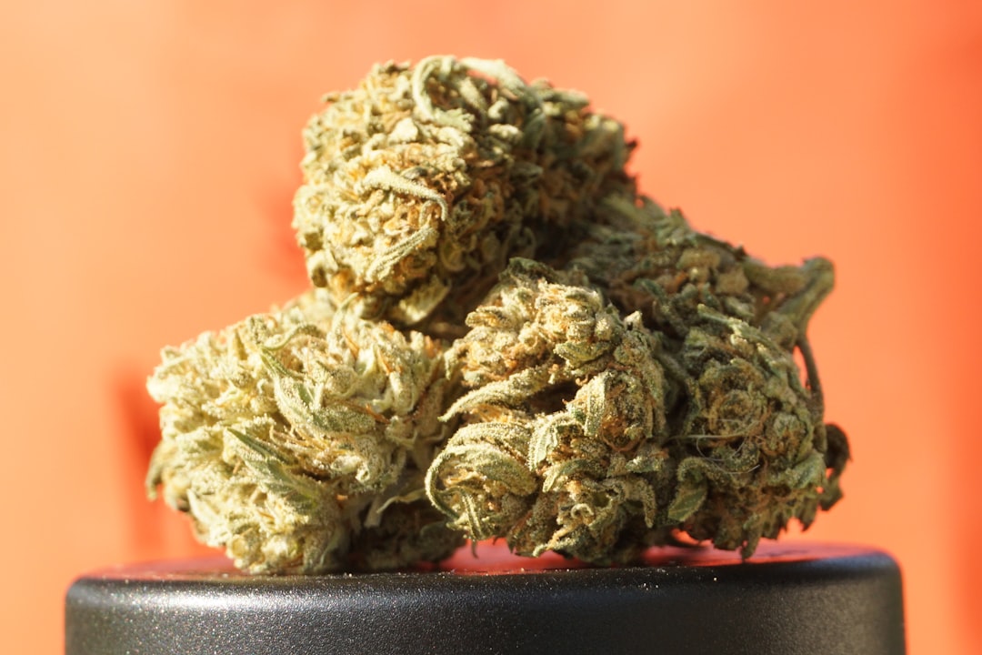 CED Clinic: Personalized Cannabis Medicine 342 German Patients Prefer Medical Cannabis with a High THC Content
