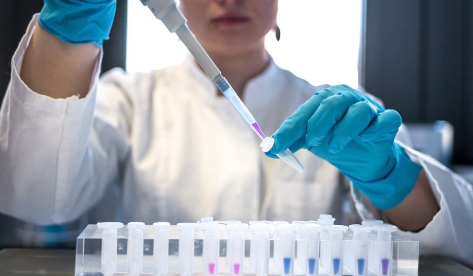scientist using pipette with test tubes in lab